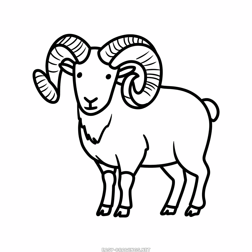 Bighorn sheep Easy Drawing