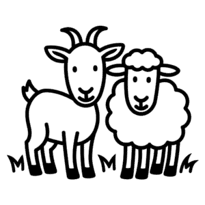 Goat and sheep Easy Drawing