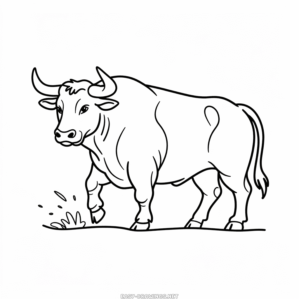 Realistic Bull Easy Drawing