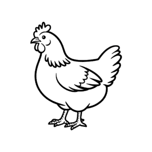 Sussex chicken Easy Drawing