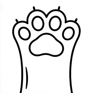 Cute Dog Paw Easy Drawing