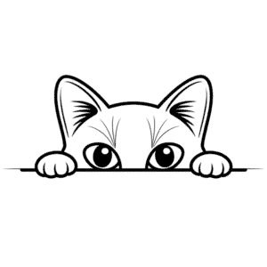 Cat Eyes Easy Drawing