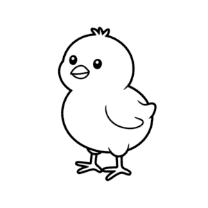 Chick picture Easy Drawing