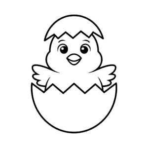 Chicken in hatch egg Easy Drawing