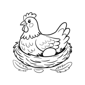 Chicken laying egg Easy Drawing