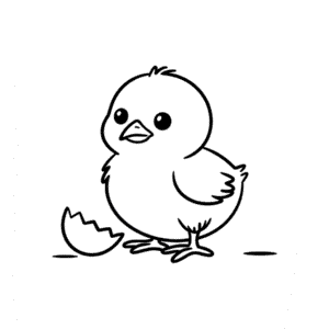 Cute baby chick Easy Drawing