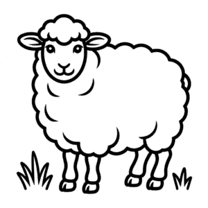 Dorset Sheep Easy Drawing