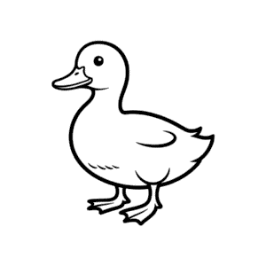 Duck Easy Drawing