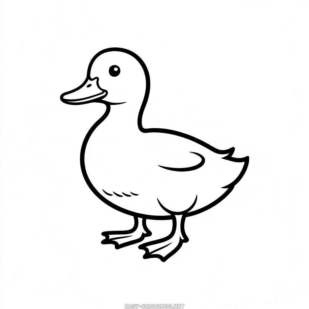 Duck Easy Drawing