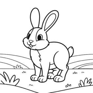 Jack rabbit Easy Drawing