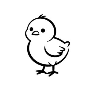 Little Chick Easy Drawing