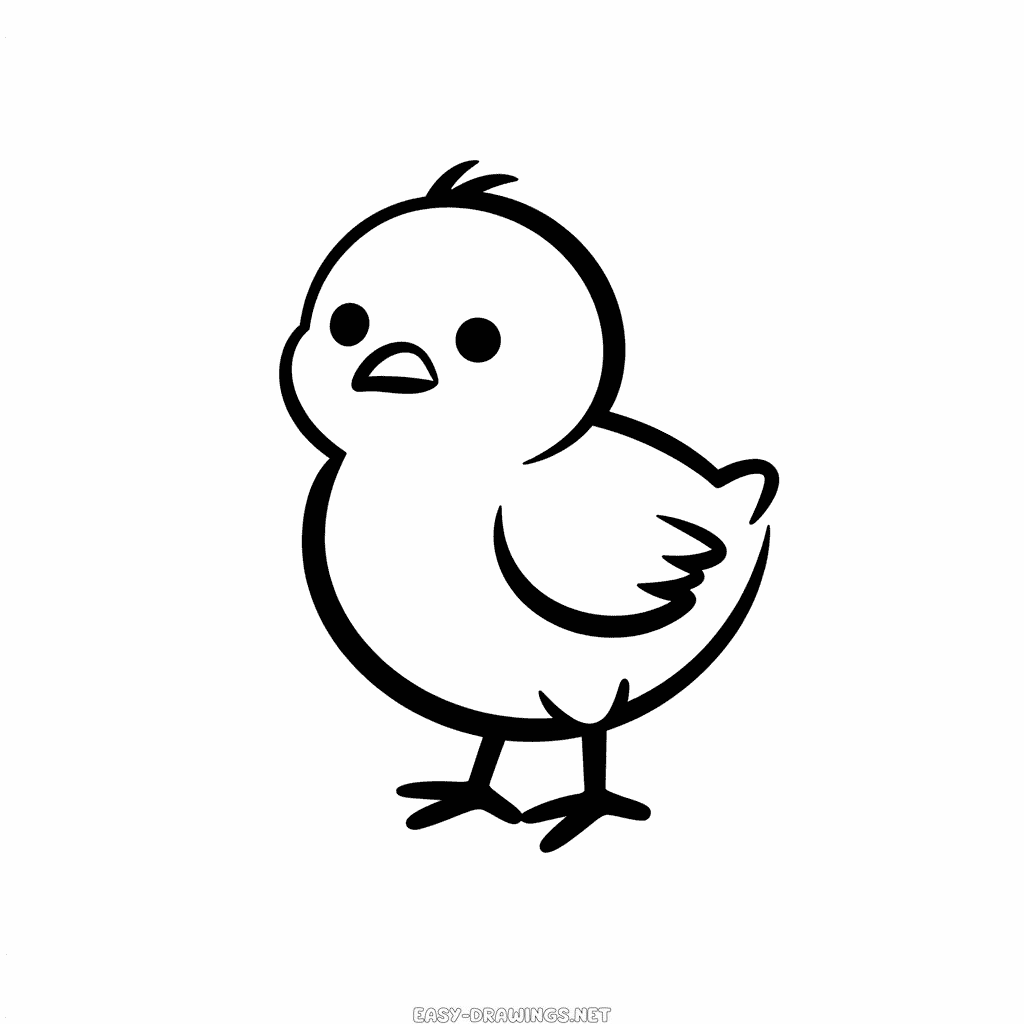 Little Chick Easy Drawing