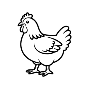 Plymouth Rock Chicken Easy Drawing
