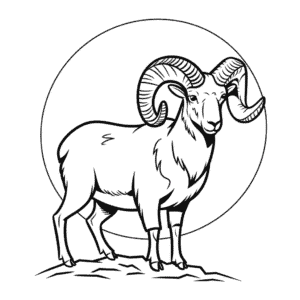 Realistic bighorn sheep Easy Drawing