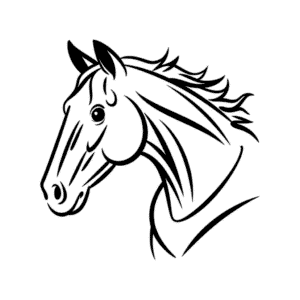 Realistic horse head Easy Drawing