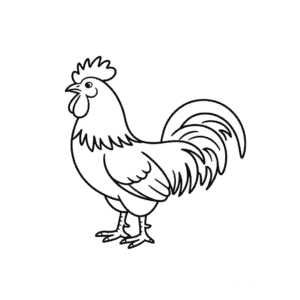 Rooster animal Easy Drawing