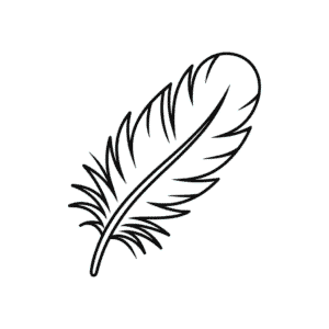 Turkey feather Easy Drawing