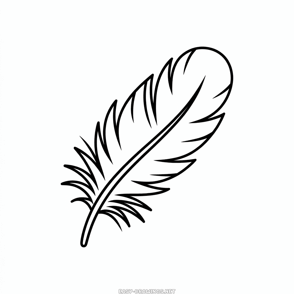 Turkey feather Easy Drawing