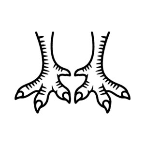 Turkey feet Easy Drawing