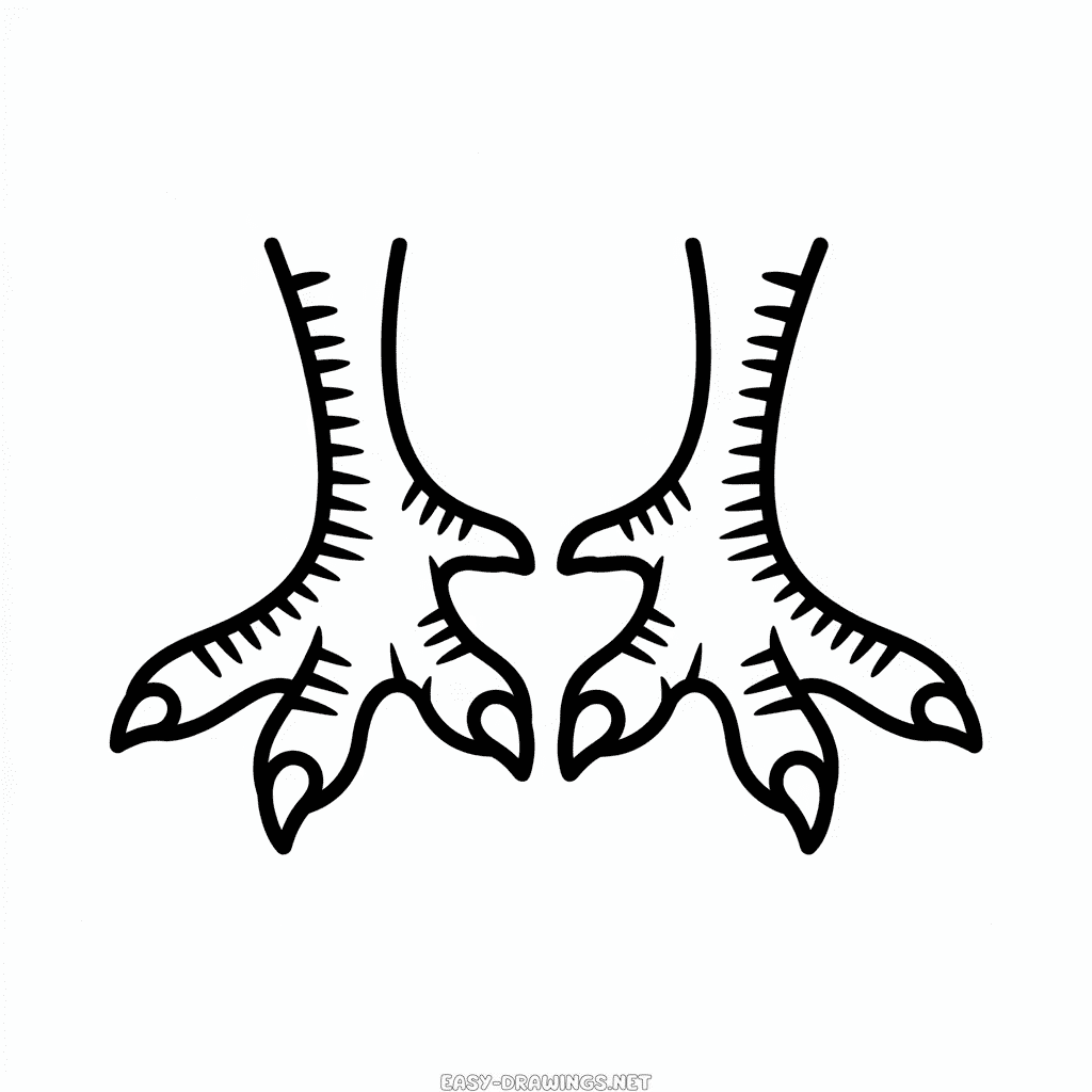 Turkey feet Easy Drawing