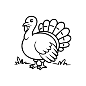 Turkey for baby Easy Drawing