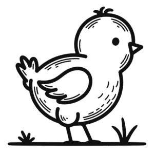 Chick Animal Easy Drawing