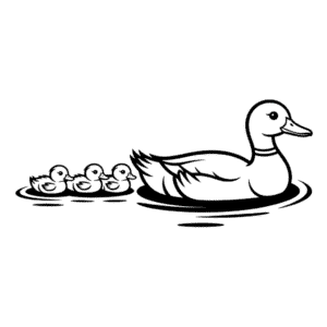 Duck and Ducklings Easy Drawing