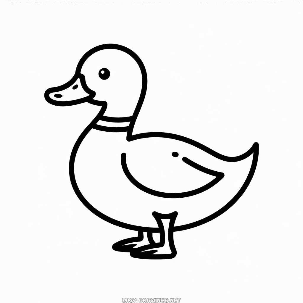 Duck for kids Easy Drawing