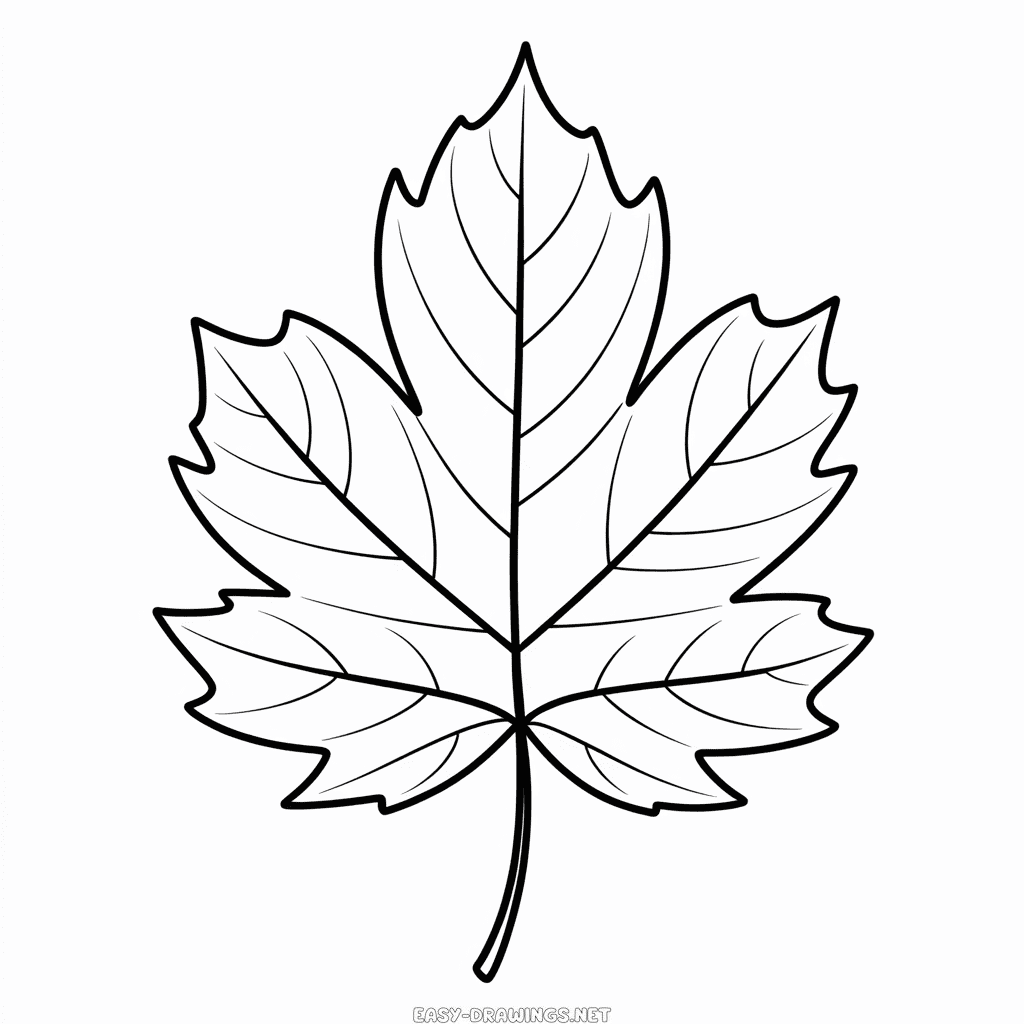 Fall Leaf Easy Drawing