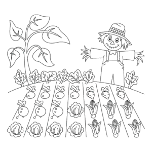Farm crops Easy Drawing