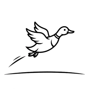 Flying Duck Easy Drawing