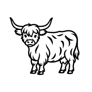 Highland cow Easy Drawing