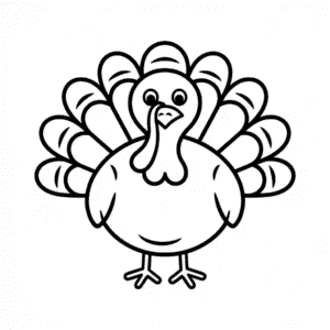 Turkey bird Easy Drawing